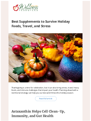 Wellness Resources - Your Holiday Survival Guide: Food, Travel, and Stress Tips