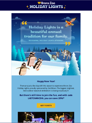 Wildlife Conservation Society - Last chance - save 20% on Holiday Lights