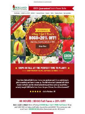 Holland Bulb Farms - Buy 1 Get 1 FREE 👍 September Specials JUST Added!