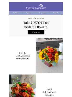 From You Flowers - Save Big with 20% Off Fall Flowers!