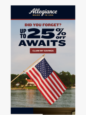 Allegiance Flag Supply - Limited Time, Limited Stock