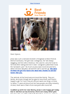 Best Friends Animal Society - 🐾 There’s still time to have your gift matched! 🐾 