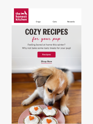 The Honest Kitchen - Ready To Bake With Your Pup?👩‍🍳