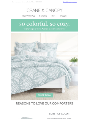 Crane & Canopy - NEW! All Things COZY!