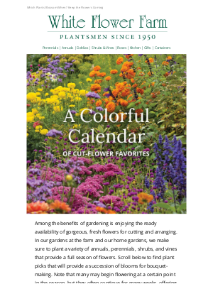 White Flower Farm - Plants for a Succession of Blooms & Bouquets