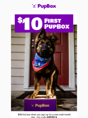 PupBox - 🚨 LAST CHANCE to score a $10 PupBox! 📦
