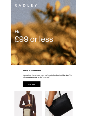 Radley (United Kingdom) - danny, every handbag in this email is £99 or less