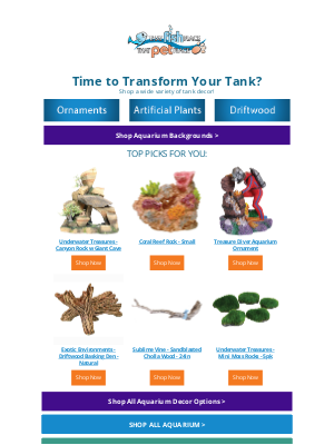That Pet Place - Make a Splash with New Aquarium Decor!