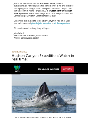 Wildlife Conservation Society - [SPECIAL INVITE] 🎥 Watch this historic deep sea dive in real time with WCS