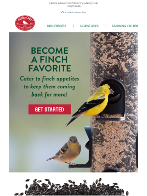 Perky Pet Feeders - Make Finch Feeding a Cinch