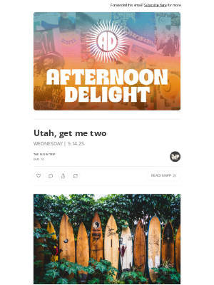Whalebone - Utah, get me two ☀️