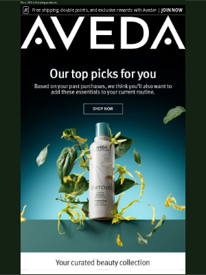 Aveda - 🔍 Your Hair, Your Routine – Let’s Personalize It