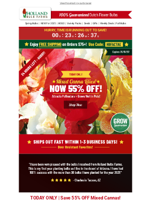 Holland Bulb Farms - Canna You Be-leaf it? 😲 55% OFF Mixed Canna Lilies!