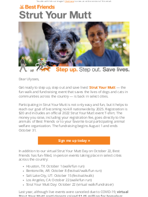 Related Email 0