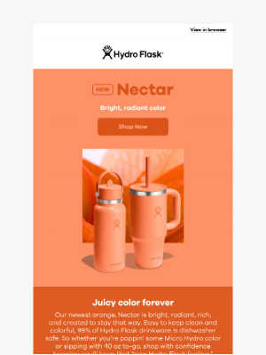 Hydroflask - Nectar orange in all your favorite styles