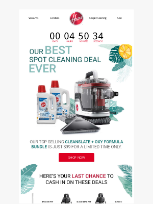 Hoover - Hurry! This is your last chance to save