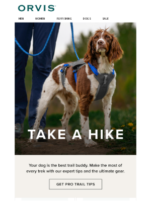 Orvis - Your dog is always up for the ride
