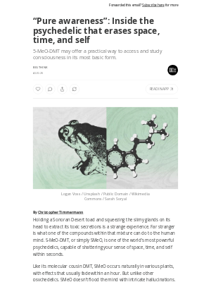 Big Think - “Pure awareness”: Inside the psychedelic that erases space, time, and self