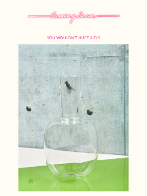 Coming Soon - YOU WOULDN'T HURT A FLY