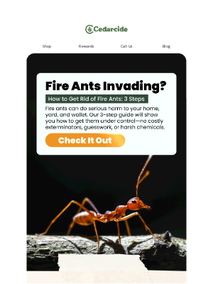 Cedarcide - Stop Fire Ants Before They Spread 🐜 Here’s How