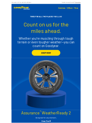 Goodyear Auto Service - Valued Customer, take your tires up a notch this summer