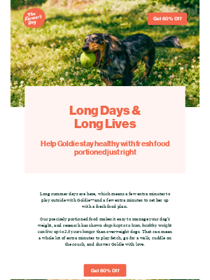Love long evening walks with Goldie?
