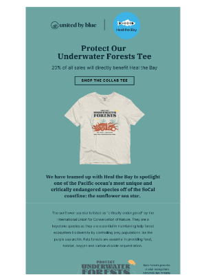 United By Blue - ⭐ THIS T SHIRT HELPS SEA STARS ⭐