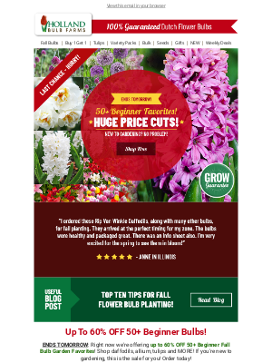 Holland Bulb Farms - 🤩 Price Cuts on 50+ Easy To Grow Faves!