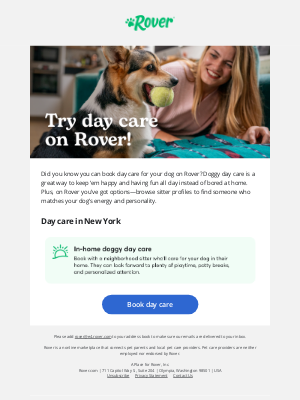 DogVacay - Treat your dog to a day of play