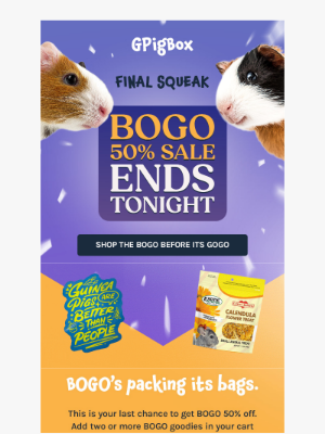 Fetch Pet Products - BOGO Squeak Sale Ends TONIGHT!