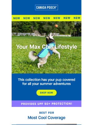 Canada Pooch - Enjoy sunny days with the Max Chill Collection 😎