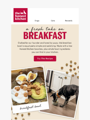 The Honest Kitchen - What’s for Breakfast? Try this.