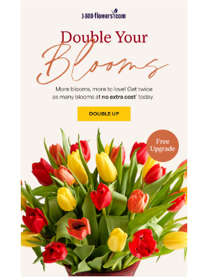 1-800-Flowers - Double the blooms, double the joy! 🌷✨