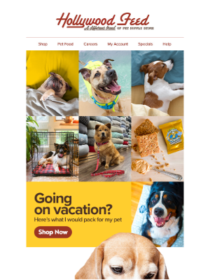 Hollywood Feed - Your Pet's Vacation Checklist Starts Here! 🌞
