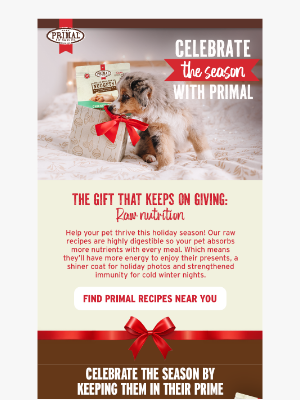 Primal Pet Foods - Unwrap the Benefits of Raw Nutrition This Season. 🐾 🥩