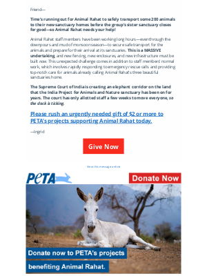 PETA - URGENT UPDATE: Help Animal Rahat relocate 200+ animals!