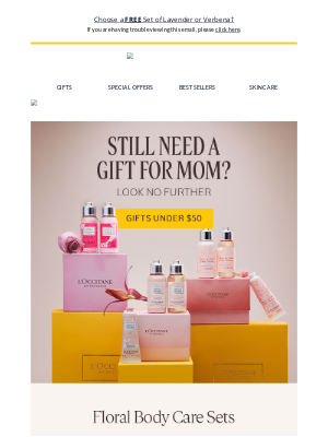 L'Occitane USA - There's Still Time For Gifting ⏳️