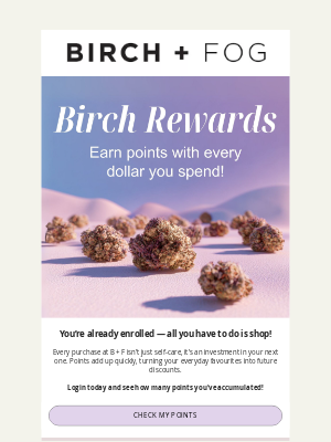Birch + Fog - Your Rewards Balance Might Surprise You 👀💸