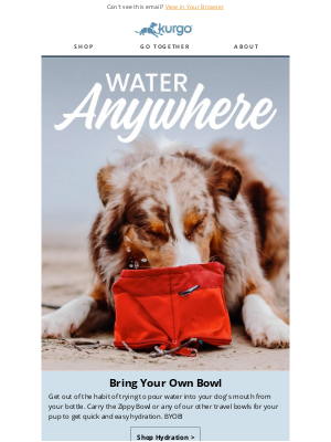 Kurgo - Don't Forget The Water Bowl! Hydrate Now!