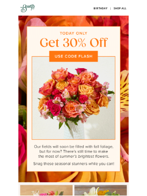 The Bouqs Company - Say Hello to 30% Off...
