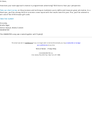 Insider Intelligence - [Take Our Survey] Your Thoughts on Advertising Creative
