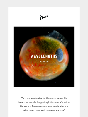 Parley - The beautiful microbiology Instagram page giving a wider view of our world