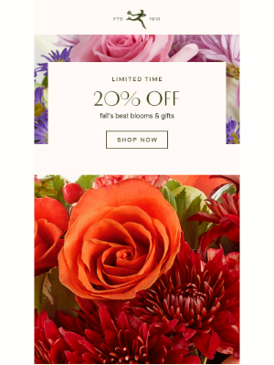 FTD Flowers - Save 20% On All Our Favorite Fall Flowers & More!