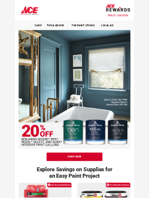Ace Hardware - Save BIG on Your Next Paint Project 🎨
