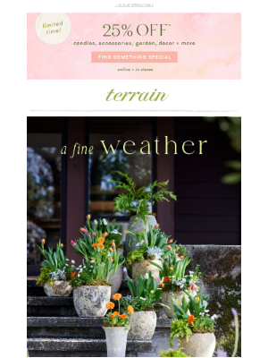 Terrain - The Summer Accessory Report