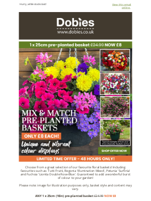 Dobies (United Kingdom) - ALL Pre-Planted Hanging Baskets ONLY £8 EACH!