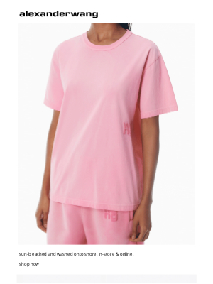 Alexander Wang - get faded.