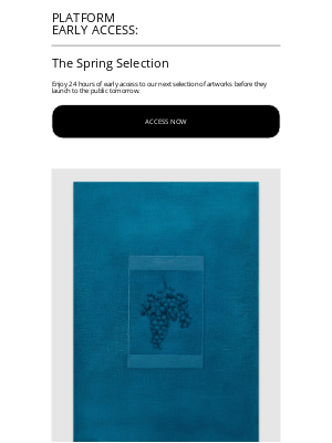 Steven Alan - Your early access to new artworks