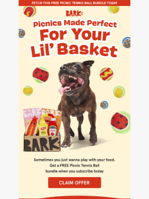 BarkBox - Does your pup have ants in their pants? 🐜