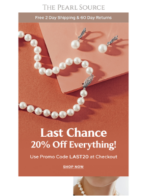Don't Miss This 20% off Email Exclusive